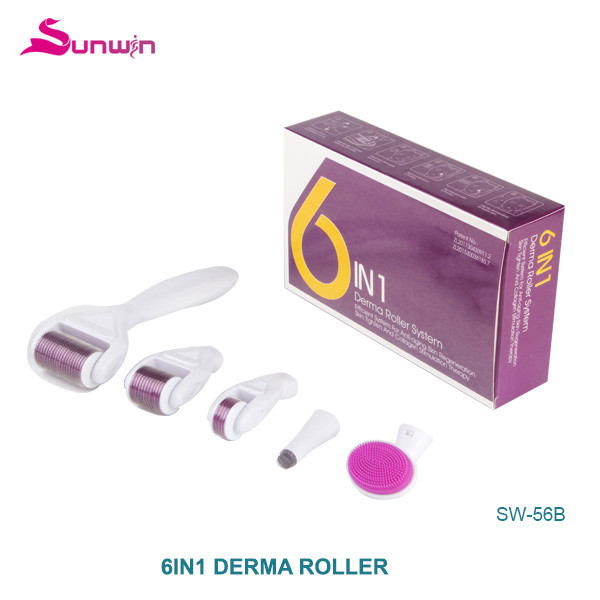 SW-56B  6 in 1 Derma roller kit replaceable head dermaroller microneedle derma roller 