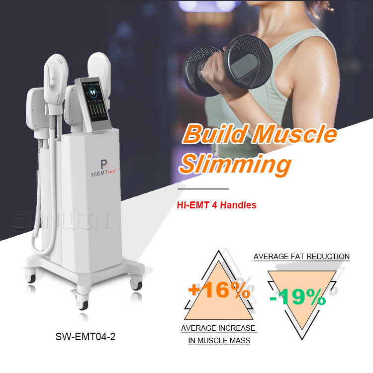 4 Handles Portable Fat Freezing Body Slim Weight Loss Hiemt EMS