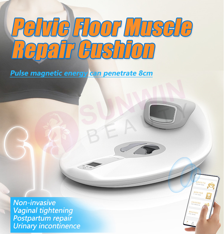 EMS RF Emslim Neo Strengthen Pelvic Floor Cushion Muscle